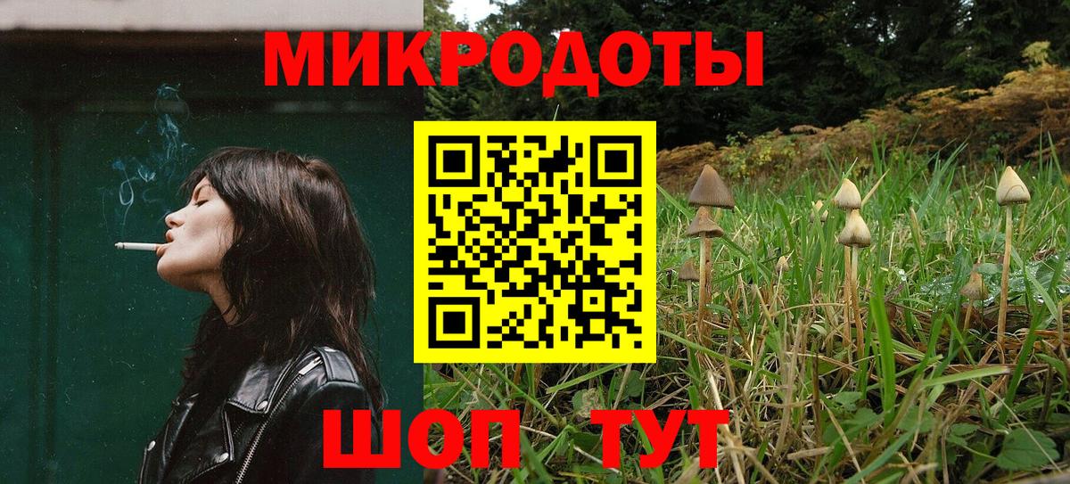Псилоцибиновые грибы Psilocybine cubensis Орехово-Зуево
